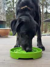 Load image into Gallery viewer, Garden Design eTray - Shallow Slow Feeder Dog Bowl for Enrichment | USA