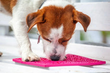 Load image into Gallery viewer, Flower Power emat - Enrichment Lick Mat for Dogs and Cats | Flower Design | USA Made