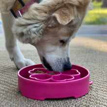 Load image into Gallery viewer, Flower eBowl Deep Slow Feeder Dog Bowl for Enrichment | USA Made

